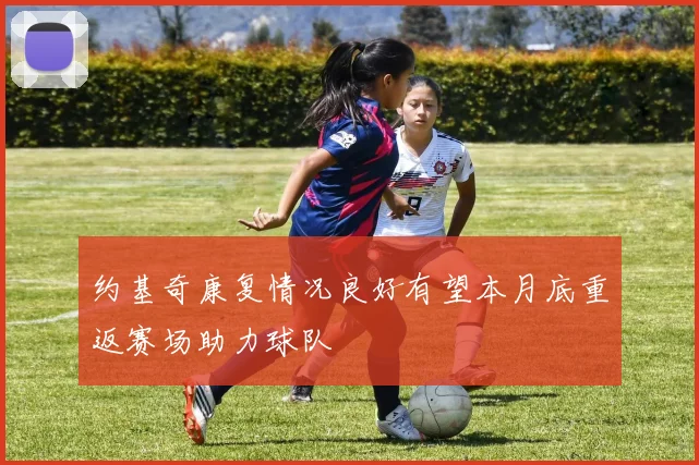 约基奇康复情况良好有望本月底重返赛场助力球队