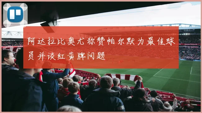 阿达拉比奥尤称赞帕尔默为最佳球员并谈红黄牌问题