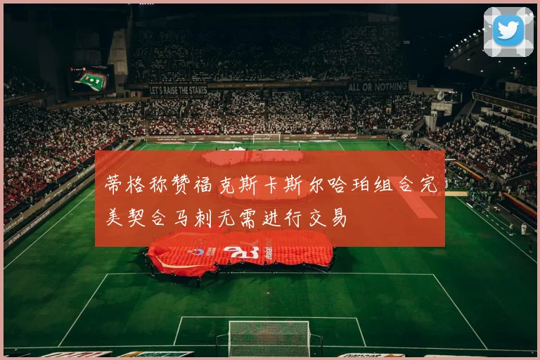蒂格称赞福克斯卡斯尔哈珀组合完美契合马刺无需进行交易