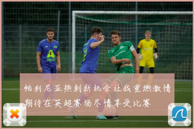 帕利尼亚热刺新机会让我重燃激情期待在英超赛场尽情享受比赛