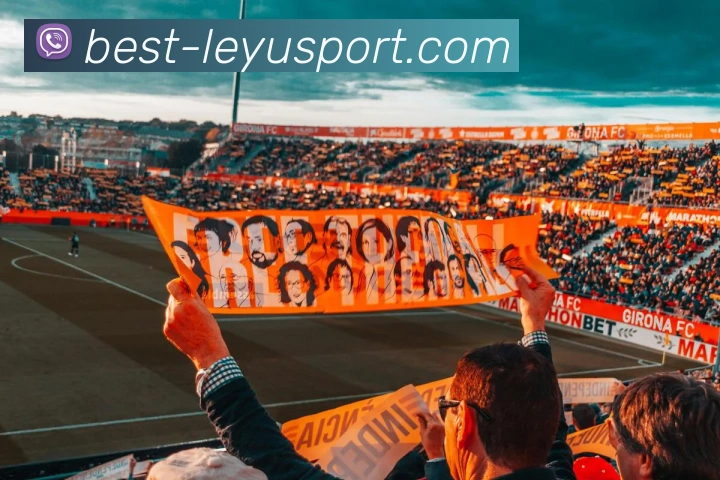 乐鱼体育平台生态图