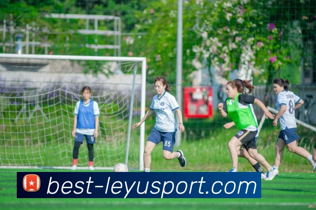 乐鱼体育APP 封面图